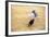 Bullfight, Jerez De La Frontera, Cadiz Province, Andalusia, Spain-Neil Farrin-Framed Photographic Print