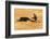 Bullfight, Jerez De La Frontera, Cadiz Province, Andalusia, Spain-Neil Farrin-Framed Photographic Print