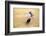 Bullfight, Jerez De La Frontera, Cadiz Province, Andalusia, Spain-Neil Farrin-Framed Photographic Print