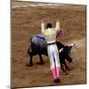 Bullfight or Fiesta Brava, San Luis Potosi, Mexico-Russell Gordon-Mounted Photographic Print