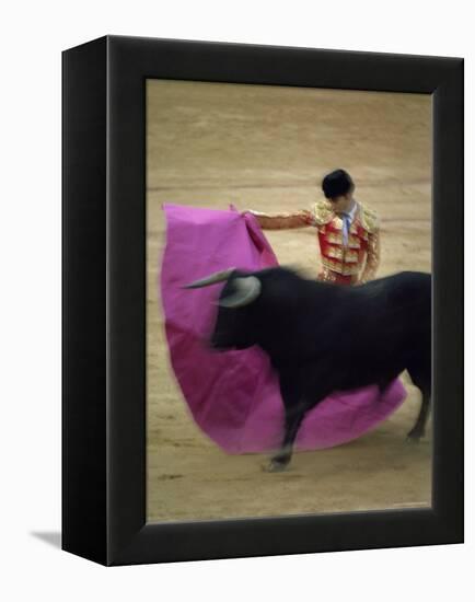 Bullfight Spain-null-Framed Premier Image Canvas