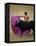 Bullfight Spain-null-Framed Premier Image Canvas