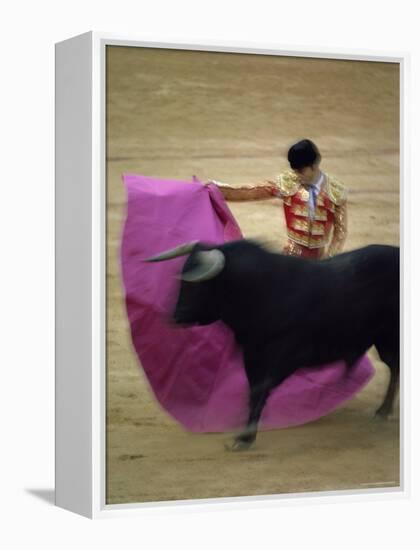 Bullfight Spain-null-Framed Premier Image Canvas