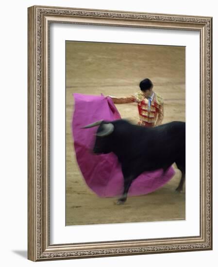 Bullfight Spain-null-Framed Photographic Print