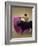 Bullfight Spain-null-Framed Photographic Print