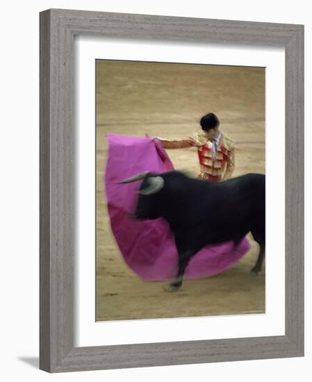 Bullfight Spain-null-Framed Photographic Print