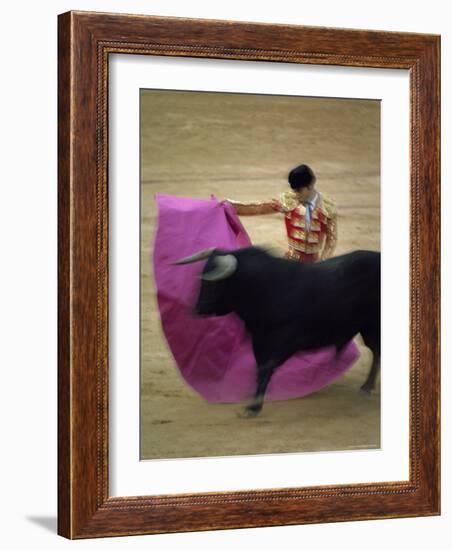 Bullfight Spain-null-Framed Photographic Print