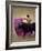 Bullfight Spain-null-Framed Photographic Print