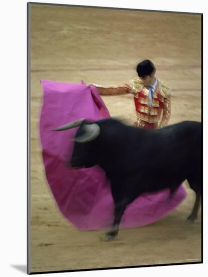 Bullfight Spain-null-Mounted Photographic Print