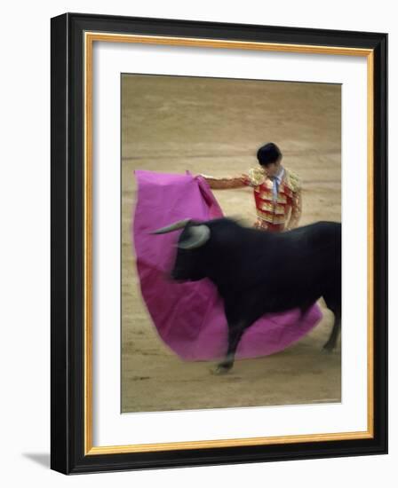 Bullfight Spain-null-Framed Photographic Print