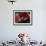 Bullfighte Performs During a Bullfight at the Monumental Bullring in Barcelona-null-Framed Photographic Print displayed on a wall