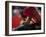 Bullfighte Performs During a Bullfight at the Monumental Bullring in Barcelona-null-Framed Photographic Print