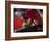 Bullfighte Performs During a Bullfight at the Monumental Bullring in Barcelona-null-Framed Photographic Print