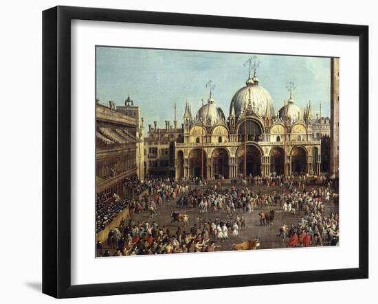 Bullfighting or Bull Hunting in Piazza San Marco-Giovanni Antonio Canal-Framed Giclee Print