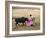 Bullfighting, Plaza de Toros, Ronda, Andalusia, Spain-null-Framed Photographic Print