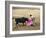 Bullfighting, Plaza de Toros, Ronda, Andalusia, Spain-null-Framed Photographic Print