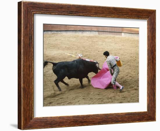 Bullfighting, Plaza de Toros, Ronda, Andalusia, Spain-null-Framed Photographic Print