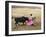 Bullfighting, Plaza de Toros, Ronda, Andalusia, Spain-null-Framed Photographic Print