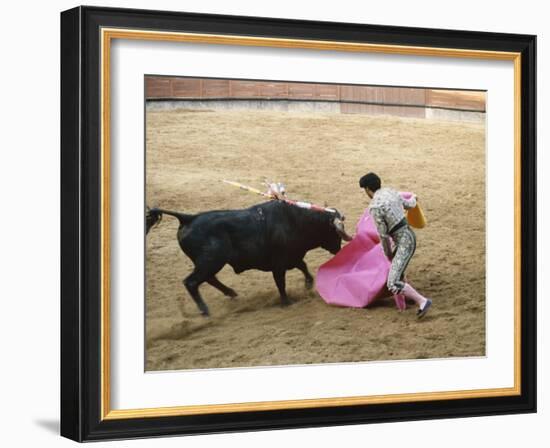 Bullfighting, Plaza de Toros, Ronda, Andalusia, Spain-null-Framed Photographic Print