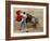 Bullfighting, Plaza de Toros, Ronda, Andalusia, Spain-null-Framed Photographic Print