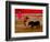 Bullfights Begin with Bleeding of the Bull, San Luis Potosi, Mexico-Russell Gordon-Framed Photographic Print