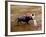 Bullfights, San Luis Potosi, Mexico-Russell Gordon-Framed Photographic Print