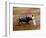 Bullfights, San Luis Potosi, Mexico-Russell Gordon-Framed Photographic Print