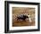 Bullfights, San Luis Potosi, Mexico-Russell Gordon-Framed Photographic Print