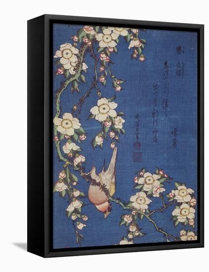 Bullfinch and weeping cherry-tree, pub. c.1834-Katsushika Hokusai-Framed Premier Image Canvas