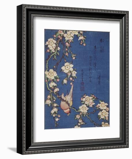 Bullfinch and weeping cherry-tree, pub. c.1834-Katsushika Hokusai-Framed Premium Giclee Print