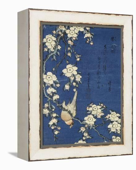 Bullfinch and Weeping Cherry (Uso, shidarezakura), from an untitled series of flowers and birds-Katsushika Hokusai-Framed Premier Image Canvas