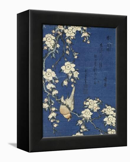 Bullfinch and Weeping Cherry (Uso, shidarezakura), from an untitled series of flowers and birds-Katsushika Hokusai-Framed Premier Image Canvas