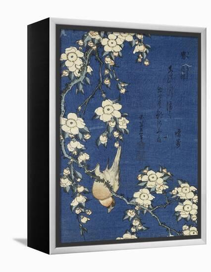 Bullfinch and Weeping Cherry (Uso, shidarezakura), from an untitled series of flowers and birds-Katsushika Hokusai-Framed Premier Image Canvas