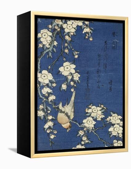 Bullfinch and Weeping Cherry (Uso, shidarezakura), from an untitled series of flowers and birds-Katsushika Hokusai-Framed Premier Image Canvas