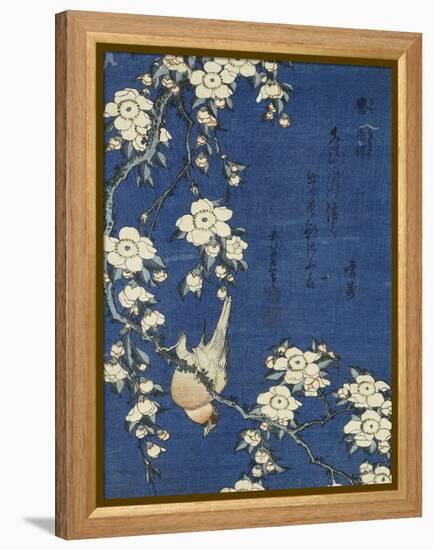 Bullfinch and Weeping Cherry (Uso, shidarezakura), from an untitled series of flowers and birds-Katsushika Hokusai-Framed Premier Image Canvas