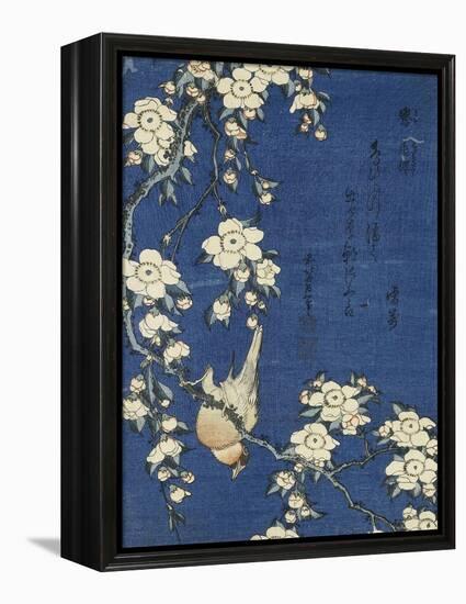 Bullfinch and Weeping Cherry (Uso, shidarezakura), from an untitled series of flowers and birds-Katsushika Hokusai-Framed Premier Image Canvas