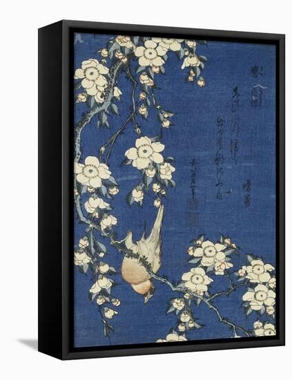 Bullfinch and Weeping Cherry (Uso, shidarezakura), from an untitled series of flowers and birds-Katsushika Hokusai-Framed Premier Image Canvas