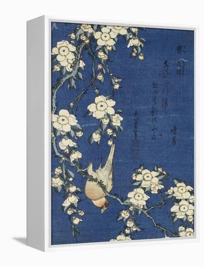 Bullfinch and Weeping Cherry (Uso, shidarezakura), from an untitled series of flowers and birds-Katsushika Hokusai-Framed Premier Image Canvas