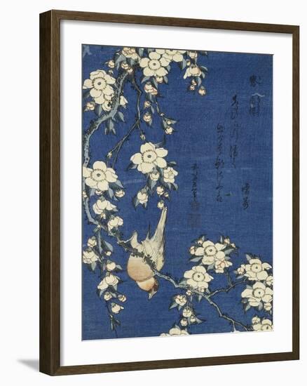 Bullfinch and Weeping Cherry (Uso, shidarezakura), from an untitled series of flowers and birds-Katsushika Hokusai-Framed Giclee Print