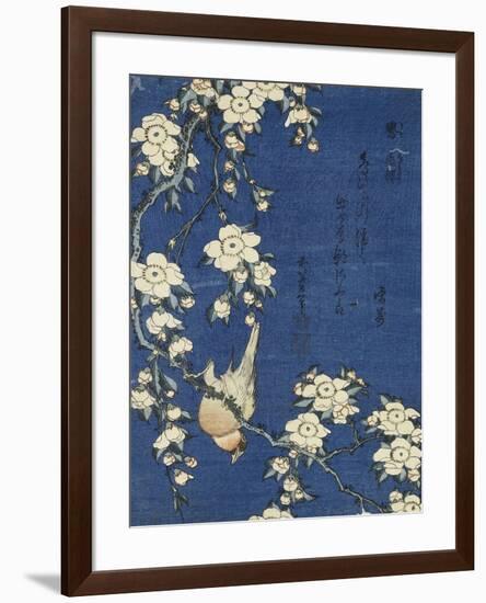 Bullfinch and Weeping Cherry (Uso, shidarezakura), from an untitled series of flowers and birds-Katsushika Hokusai-Framed Giclee Print