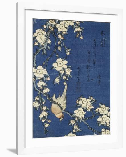 Bullfinch and Weeping Cherry (Uso, shidarezakura), from an untitled series of flowers and birds-Katsushika Hokusai-Framed Giclee Print