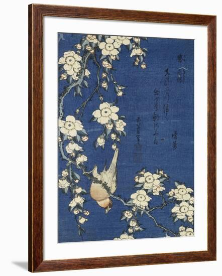 Bullfinch and Weeping Cherry (Uso, shidarezakura), from an untitled series of flowers and birds-Katsushika Hokusai-Framed Giclee Print