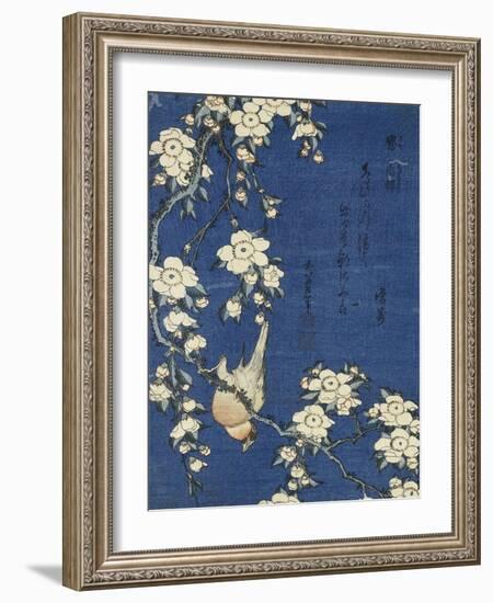 Bullfinch and Weeping Cherry (Uso, shidarezakura), from an untitled series of flowers and birds-Katsushika Hokusai-Framed Giclee Print