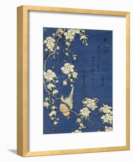 Bullfinch and Weeping Cherry (Uso, shidarezakura), from an untitled series of flowers and birds-Katsushika Hokusai-Framed Giclee Print