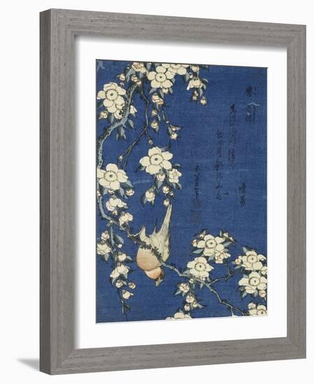 Bullfinch and Weeping Cherry (Uso, shidarezakura), from an untitled series of flowers and birds-Katsushika Hokusai-Framed Giclee Print