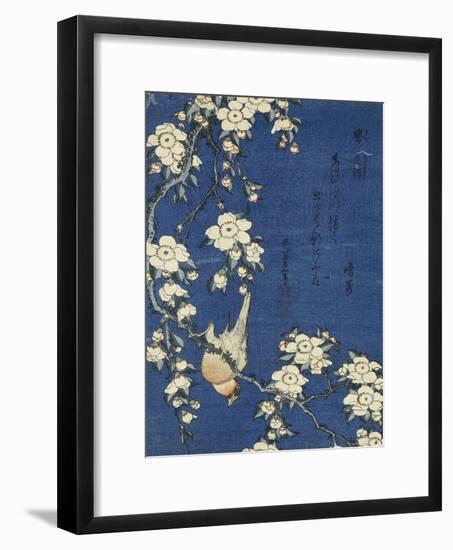 Bullfinch and Weeping Cherry (Uso, shidarezakura), from an untitled series of flowers and birds-Katsushika Hokusai-Framed Giclee Print