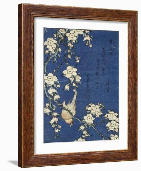 Bullfinch and Weeping Cherry (Uso, shidarezakura), from an untitled series of flowers and birds-Katsushika Hokusai-Framed Giclee Print