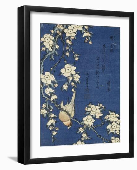 Bullfinch and Weeping Cherry (Uso, shidarezakura), from an untitled series of flowers and birds-Katsushika Hokusai-Framed Giclee Print