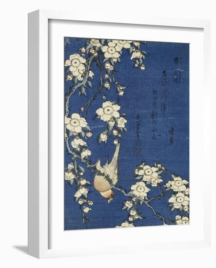 Bullfinch and Weeping Cherry (Uso, shidarezakura), from an untitled series of flowers and birds-Katsushika Hokusai-Framed Giclee Print