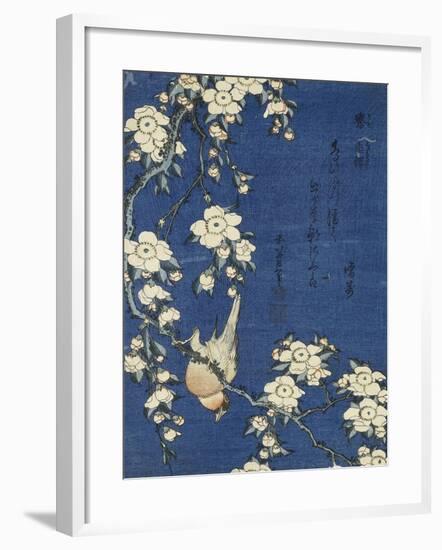 Bullfinch and Weeping Cherry (Uso, shidarezakura), from an untitled series of flowers and birds-Katsushika Hokusai-Framed Premium Giclee Print
